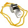 Metal Whistle With Lanyard